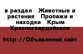  в раздел : Животные и растения » Пропажи и находки . Крым,Красногвардейское